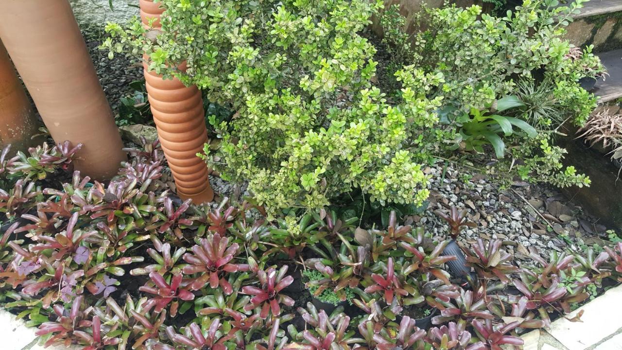 פאראטי Suites Beija-Flor מראה חיצוני תמונה